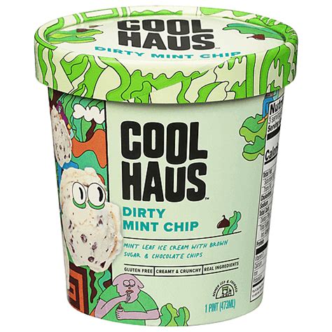 CoolHaus Ice Cream Dirty Mint Chip 1 Ea Chocolate Chip Mint Reasor S