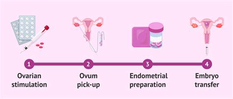 What Are The Most Frequent Symptoms After An Embryo 48 OFF