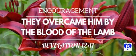 They Overcame Him By The Blood Of The Lamb Revelation 1211