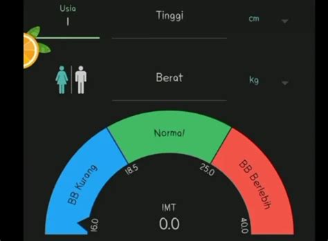 CARA Masuk Hitung Berat Badan Ideal Dengan Kalkulator IMT BMI Viral Di