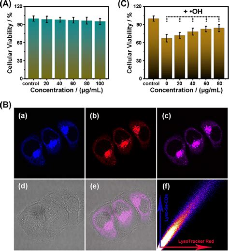 A Viabilities Of Hela Cells Incubated For H With Series Amounts Of