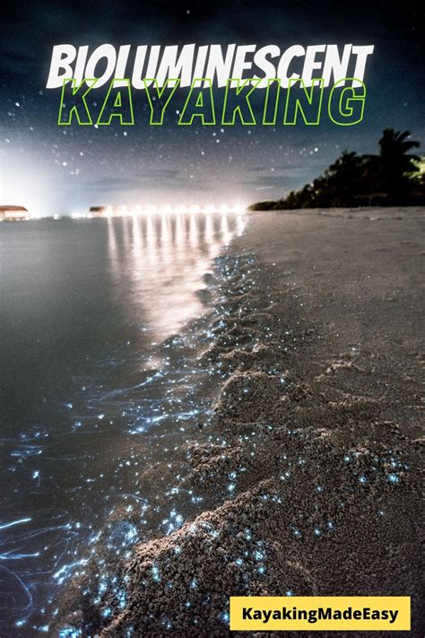 Bioluminescent Kayaking - How Does It Work? - Kayaking Made Easy ...