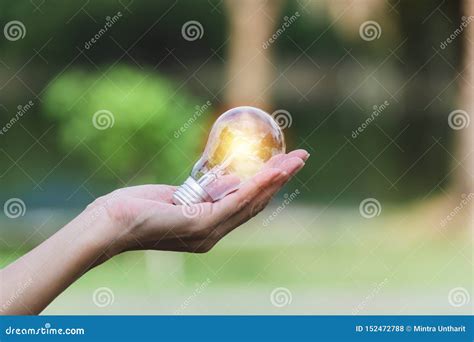 Hand Of Person Holding Light Bulb On The Nature Background For Solar