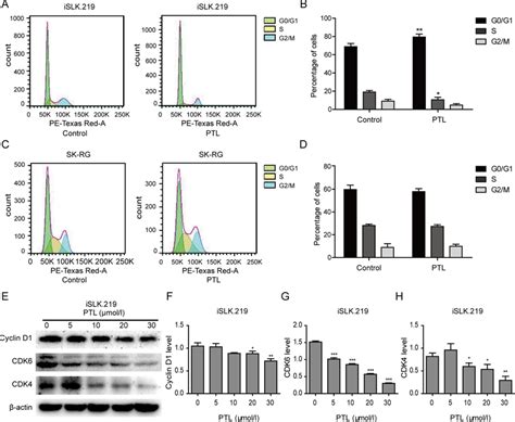 Ptl Alters The Cell Cycle Distribution Of Kshv Infected Cells A