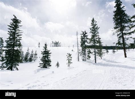 Snowy mountains in Denver, Colorado in winter Stock Photo - Alamy