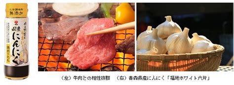 「盛田 国産にんにく 焼肉のたれ」新発売 盛田株式会社サイト