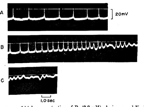 Figure From The Effects Of Barium Ion On The Resting And Action