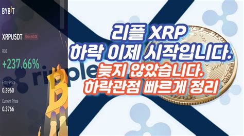 리플 Xrp 하락 이제 시작입니다 늦지 않았습니다 하락관점 빠르게 정리한 영상입니다 Youtube