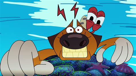 Zig Sharko THE CATACLYSM S02E58 New Episodes In HD YouTube