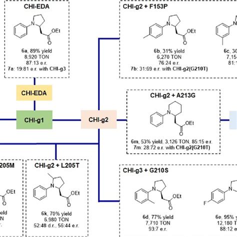 Activity And Selectivity Of Cyp Based Biocatalysts For Ch