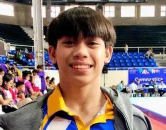 karl eldrew yulo wins    gold  palarong pambansa
