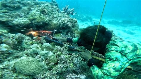 Ang Dami Pala Isda Dito Mga First Class Pa Kahit Sa Harap Lang Ng Isla