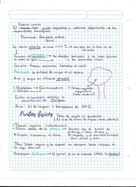 SOLUTION Psicofisiología del sistema respiratorio Studypool