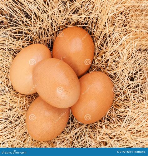 Brown Chicken Eggs Royalty Free Stock Photos Image 34721428