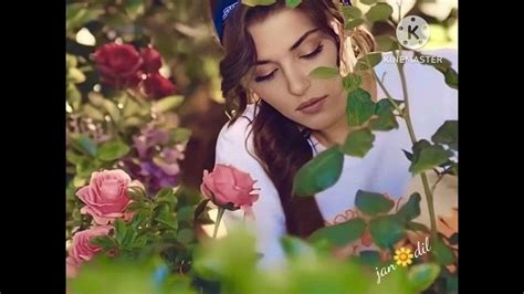 أجمل غنية كردية ️عفرين عشقامن هردام🌹jan😍dil🌹 ️🌿🌼 Youtube