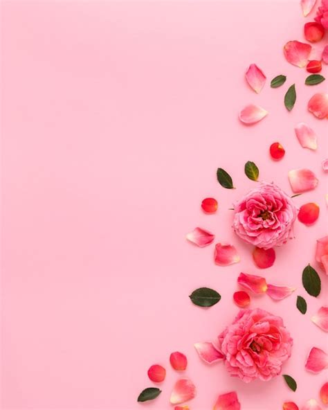 Pink Roses Background Wallpaper