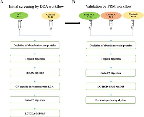 Workflow Of Quantitative A Lc Hcd Dda Ms Ms And B Lc Hcd Prm Ms Ms Download Scientific