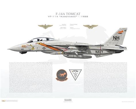 Aircraft profile print of F-14A Tomcat VF-114 Aardvarks, NH100 / 159608 ...