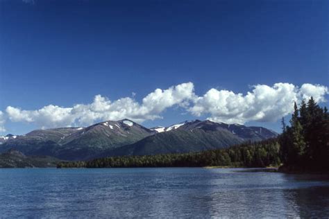 Alaska Treeline Stock Photos Pictures And Royalty Free Images Istock