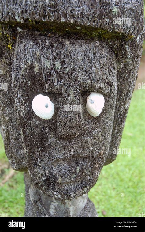 Tiki Tree Head Pacific Harbour Fiji Stock Photo Alamy