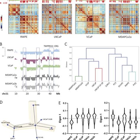 A Cell Linebased Model For The Progression Of Prostate Cancer Cell