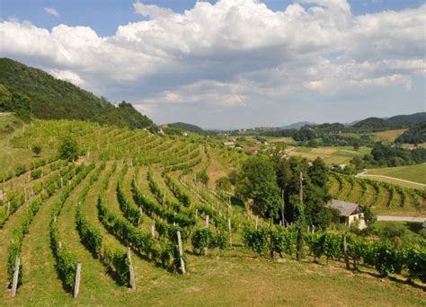 Turistične kmetije Regija Spodnje posavska Slovensko podeželje