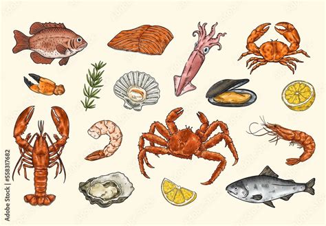 Seafood Clipart Illustrations Stock Template | Adobe Stock