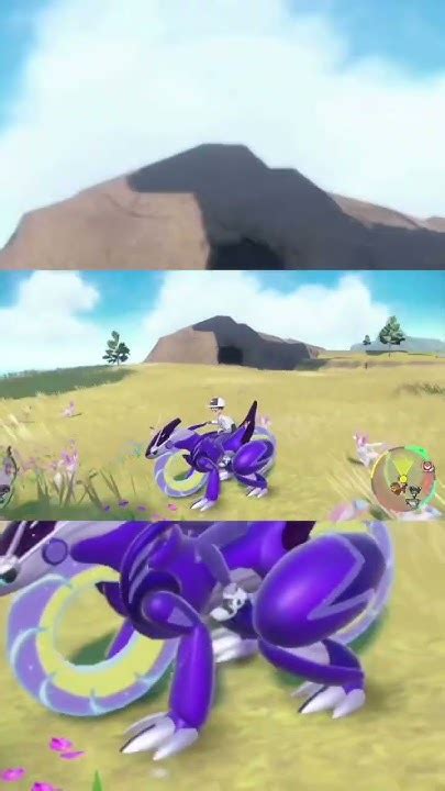 ポケモンsv ニンフィア大量発生に遭遇すると訪れる至福の時間！ 大量の可愛いニンフィアにかこまれて 色違いも発見！？pokémon