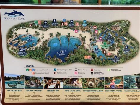 Ultimate Guide to Discovery Cove in Orlando: How to Enjoy The All Inclusive Resort in Paradise ...