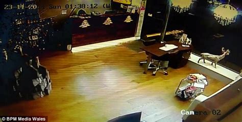 Moment Brazen Burglar Took Time Out During Beauty Salon Raid To Count