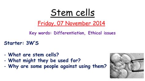 Stem Cells Teaching Resources