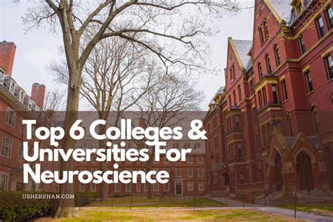 Top 6 Colleges And Universities For Neuroscience