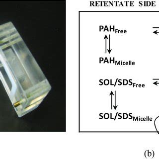 A Semi Equilibrium Dialysis Cell And B Illustration Of Separation