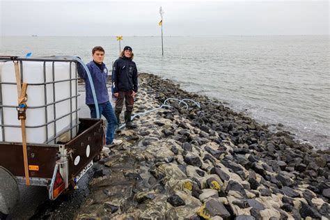 Willkommen In Den Ausstellungen Schutzstation Wattenmeer