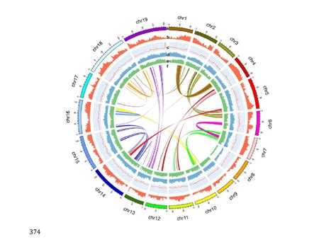 Reference Genome Assembly Of Nighteen Chromosomes A Assembled