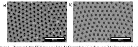 Figure 1 From Template Assisted Growth Of Silver Nanowires By Electrodeposition Semantic Scholar