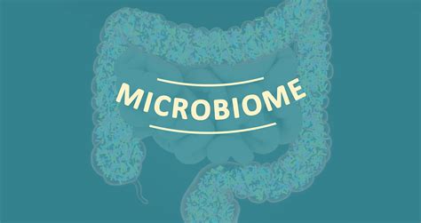 The Importance of Maintaining Healthy Gut Microbiome - Desert Health®