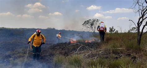 Incendio En Serranía De La Lindosa Arrasó Cinco Hectáreas De Vegetación