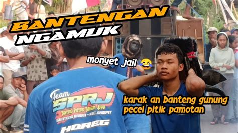 KIRAB BANTENGAN SATRIO PUTRO RINGIN JOYO YouTube