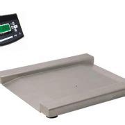 SSDT Stainless Steel Drive Thru With Inbuilt Ramps XL Scales