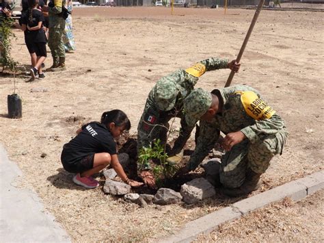 Ej Rcito Mexicano Gn Y Fuerza A Rea Mexicana Realizan Labores Sociales