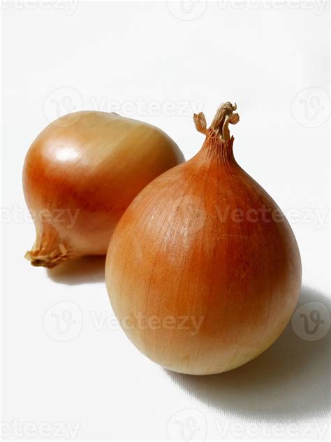 Fresh Onion On White Background 13351792 Stock Photo At Vecteezy