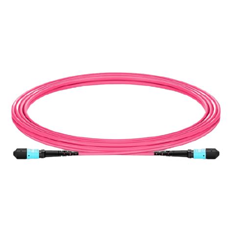 3m 10ft Mtp® 12 Male To Mtp® 12 Female Om4 Multimode Elite Trunk Cable 12 Fibers Type B