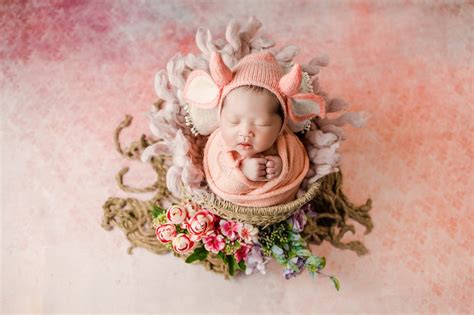 Newborn Baby Photoshoot - Free photo on Pixabay - Pixabay