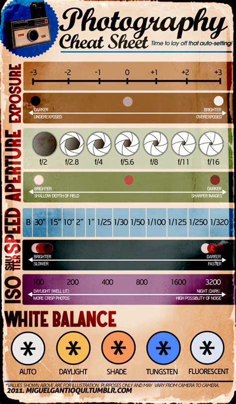 Manual Camera Settings Cheat Sheet Printable