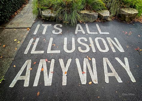 illusion paradox exploring  thin veneer  truth   world