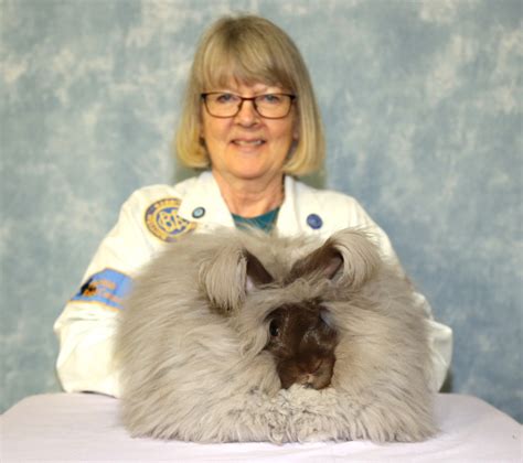 Being The Daughters Of A Successful Angora Breeder Uk National Angora