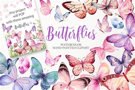 Watercolor Butterfly Clipart Pink Purple Blue Turquoise