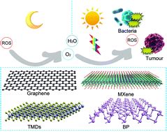 Recent Advances In Ultrathin Two Dimensional Materials And Biomedical