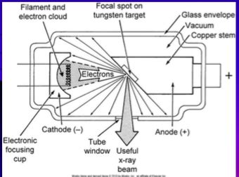 Radiation Physics Flashcards Quizlet